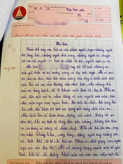 Văn Tả Mẹ Hay Nhất Gallery 1