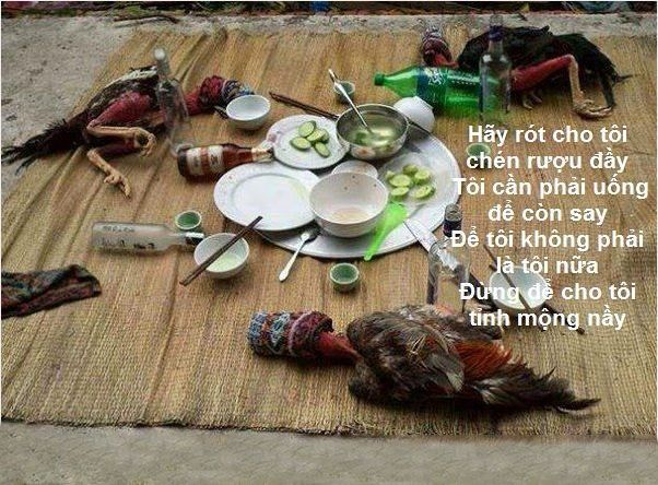 Hình Ảnh Nhậu Hài Hước: Tuyệt Chiêu Giải Trí Cho Buổi Tiệc Tết