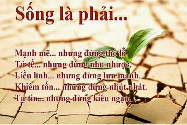 Những Câu Châm Ngôn Hay Về Cuộc Sống