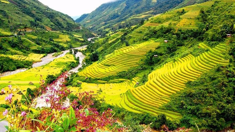 Miêu tả quê hương Gallery 1