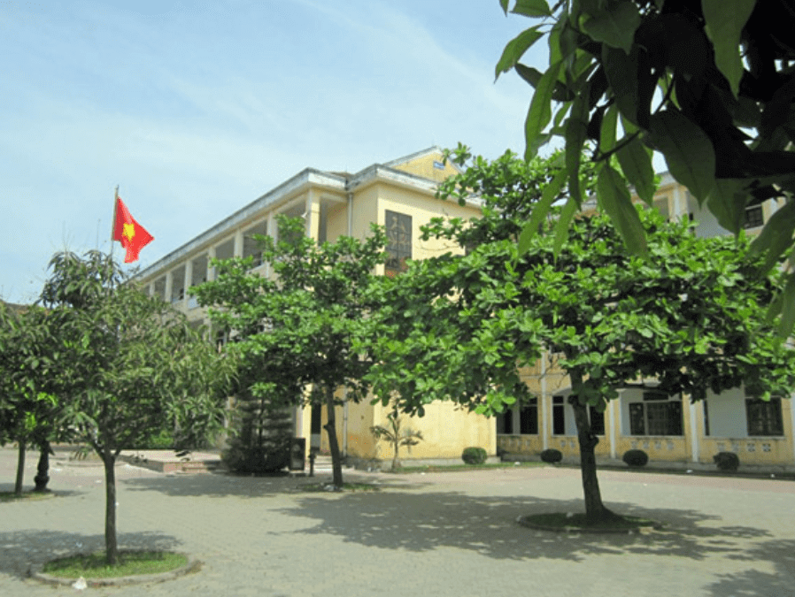Cây Bàng Trường Em Gallery 1