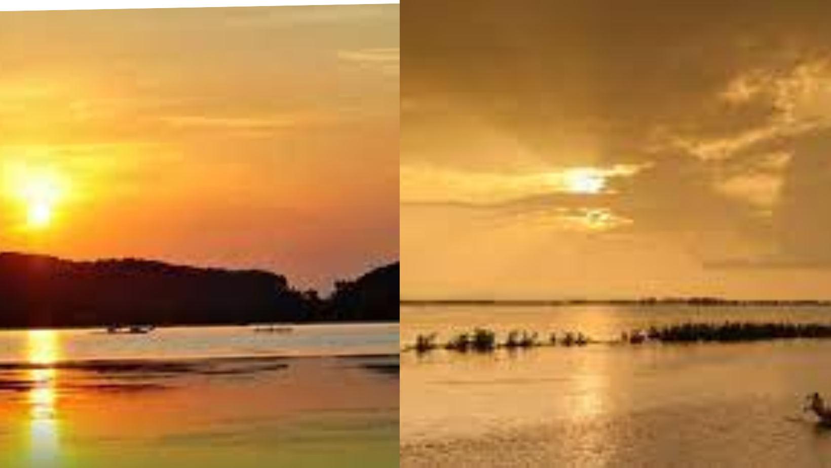 Phân tích cấu tứ và hình ảnh trong bài thơ Tràng Giang Gallery 2