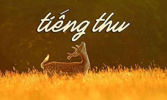 Phân tích bài Tiếng Thu Gallery 1