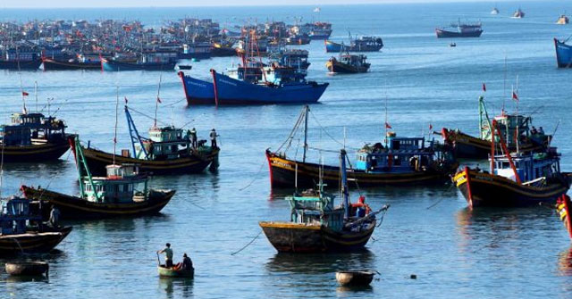 Phân tích cảnh đoàn thuyền đánh cá trên biển Gallery 1