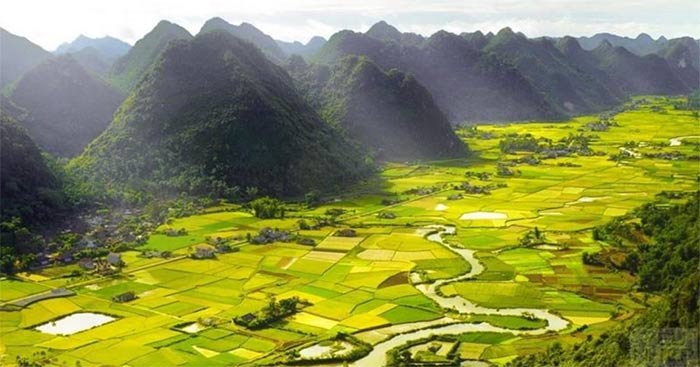 Phân tích cảnh rừng Việt Bắc Gallery 1