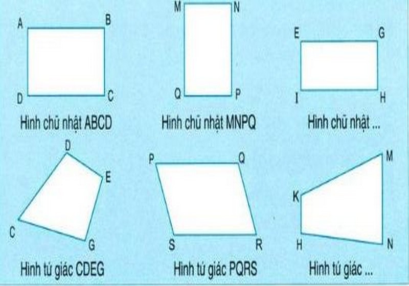 Hình chữ nhật có phải là hình tứ giác không?