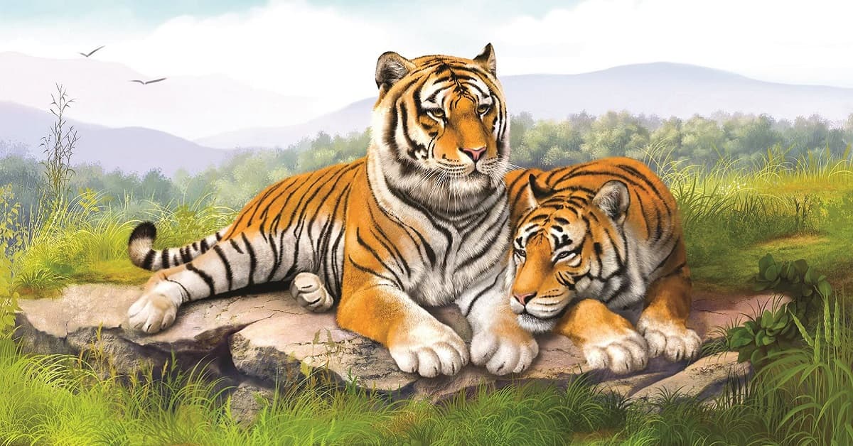 Hình Con Cọp Đẹp Nhất
