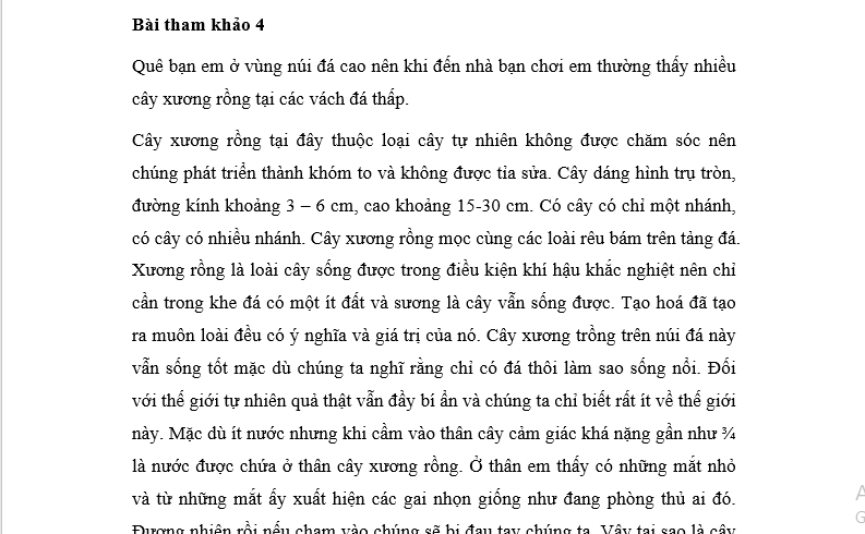Bài Văn Tả Cây Xương Rồng Gallery 1