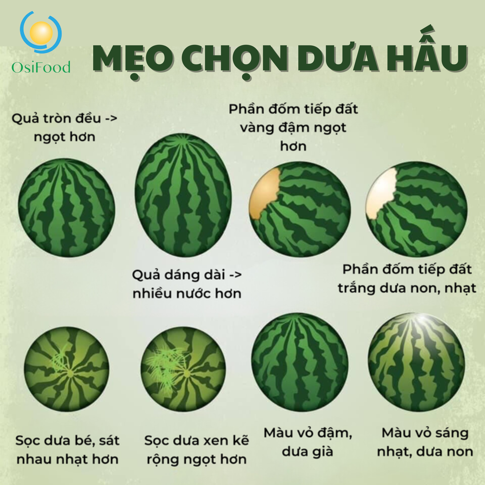 Tả về quả dưa hấu Gallery 1