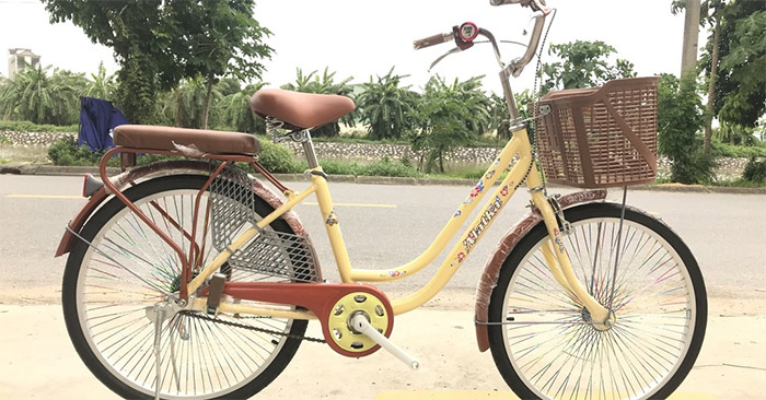 Văn Tả Xe Đạp Chi Tiết và Hay Nhất Gallery 1