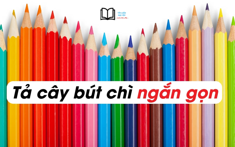Tả cây bút chì lớp 5 ngắn gọn Gallery 1