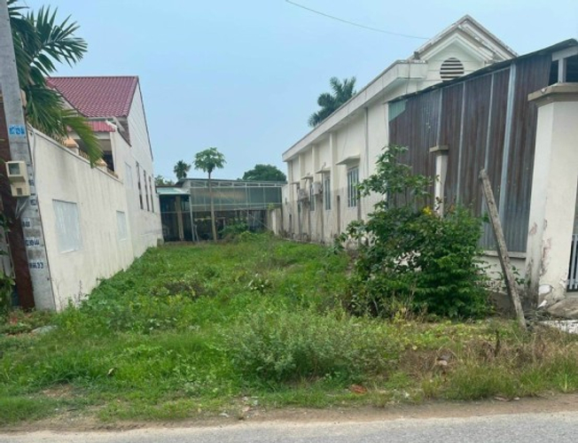 Hình Đất Dân Đẹp