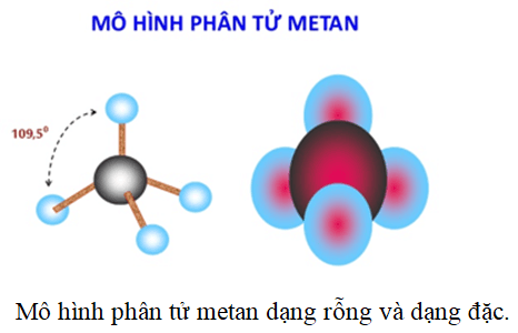 Đặc điểm cấu tạo của phân tử metan Gallery 2
