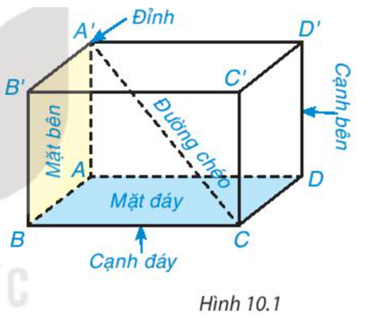 Hình hộp chữ nhật có mấy đỉnh?