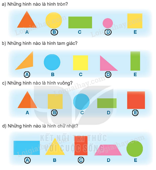 Hình tròn, hình vuông, hình tam giác và hình chữ nhật Gallery 1