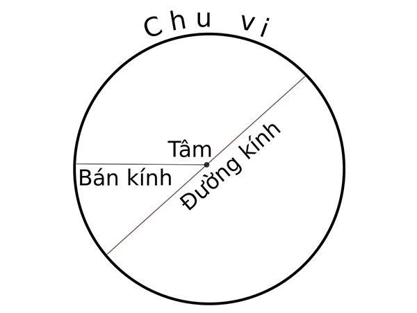 Hình Tròn và Đường Tròn: Sự Khác Biệt và Điểm Chung