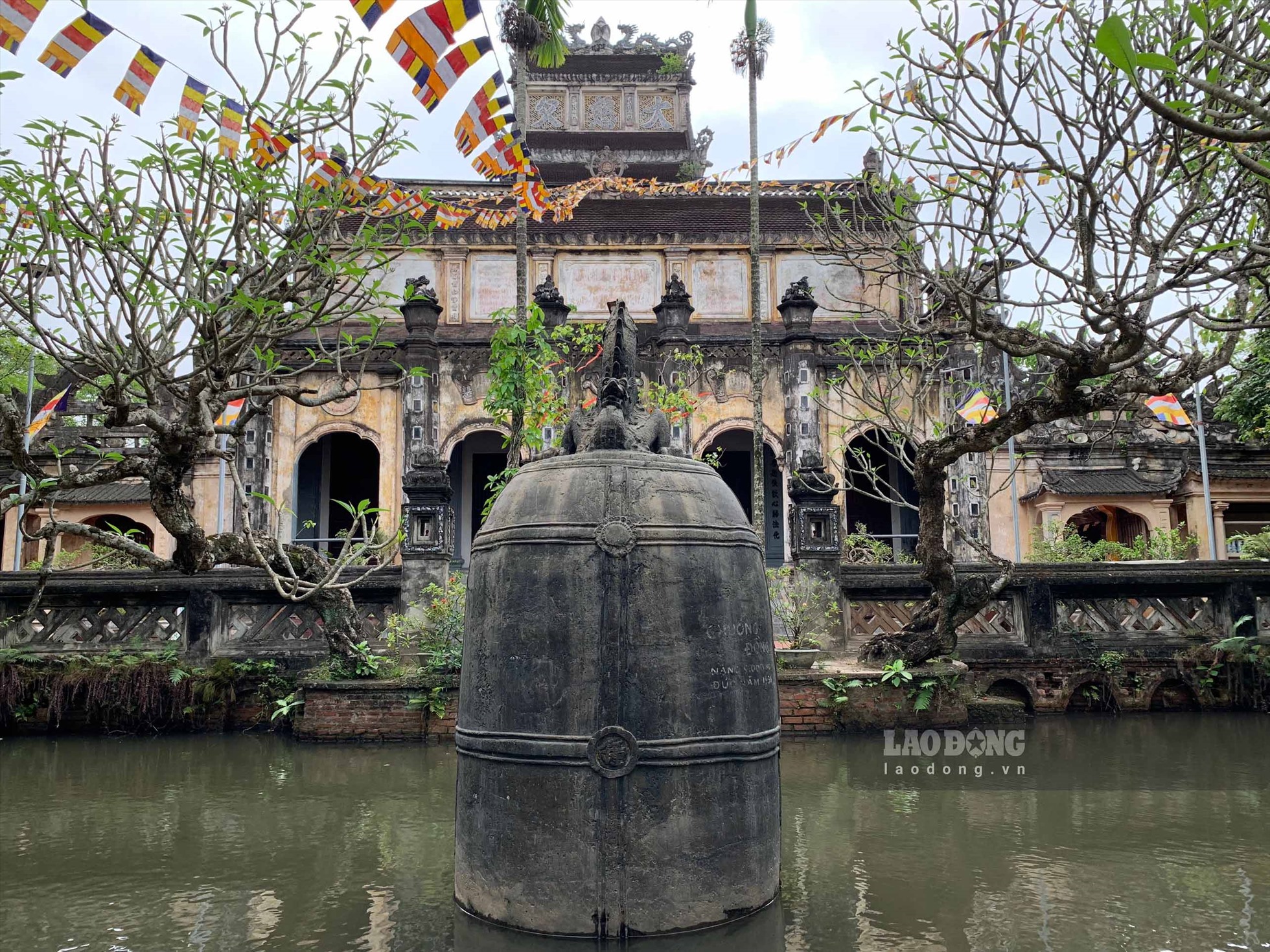 Hồ Cỏ Le - Thiên đường hoang sơ giữa núi rừng