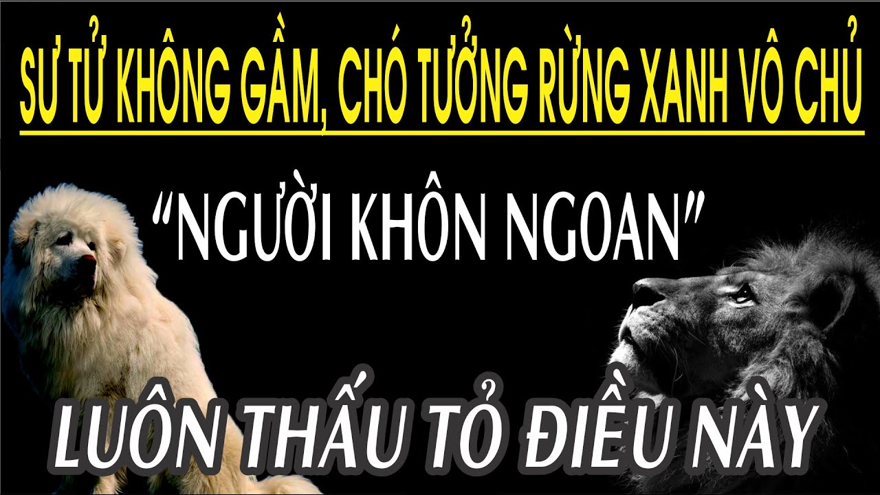 Hổ không gầm chó tưởng rừng xanh vô chủ