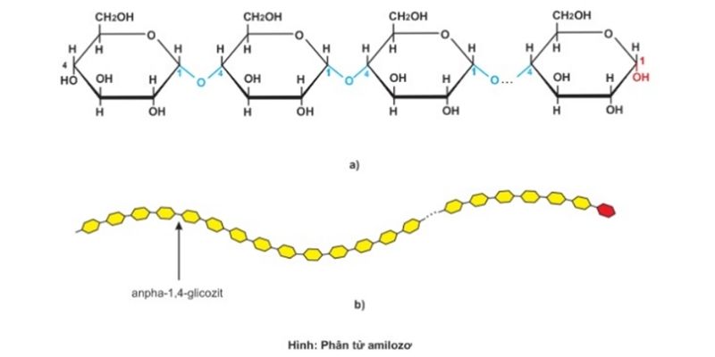 Hồ Tinh Bột Công Thức