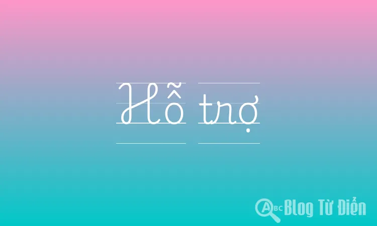 Hỗ trợ SEO toàn diện cho website của bạn