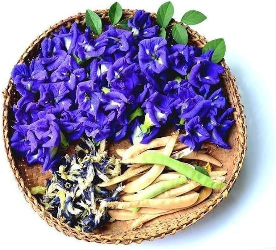 Butterfly Pea Flower