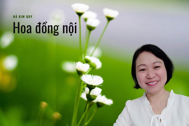 Hoa Đồng Nội Chính Tả