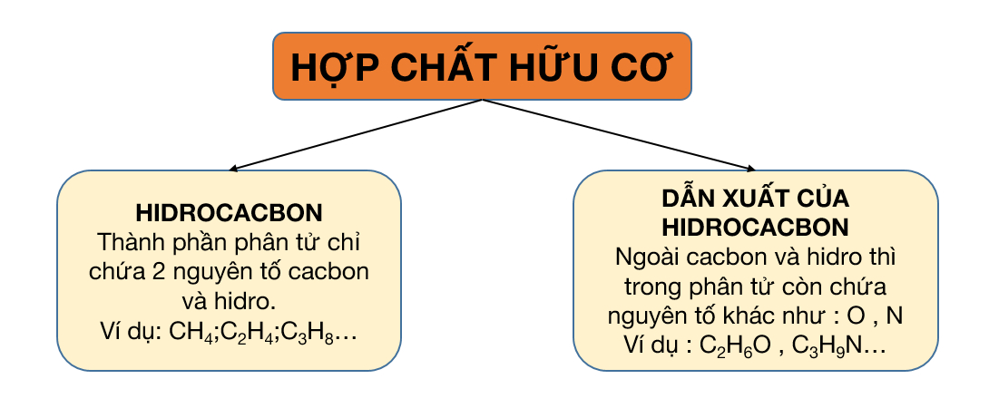 Hóa học hữu cơ là gì?