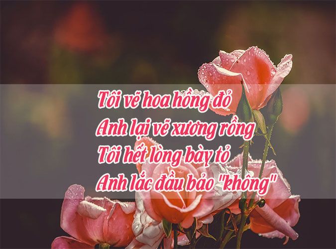 Thơ về Hoa Hồng Hài Hước Gallery 1