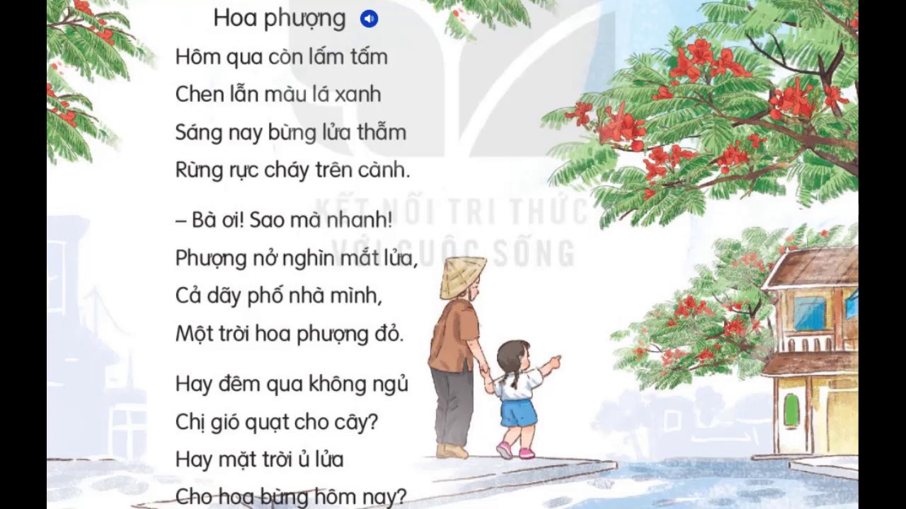 Hoa Phượng Lớp 1 Gallery 2