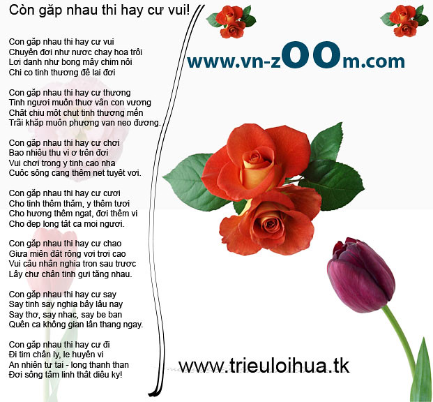 Hoà Quện là gì? Khám phá nghệ thuật pha trộn hoàn hảo Gallery 2