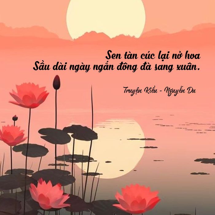 STT Hoa Sen Hài Hước:  Tuyển Tập Những Câu Nói Chế Bá Đạo Nhất Gallery 1
