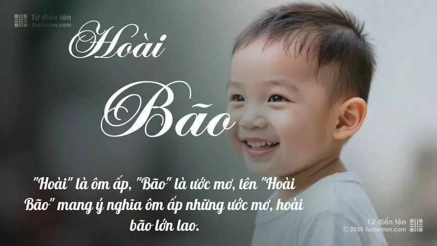 Hoài Bão Nghĩa Là Gì?
