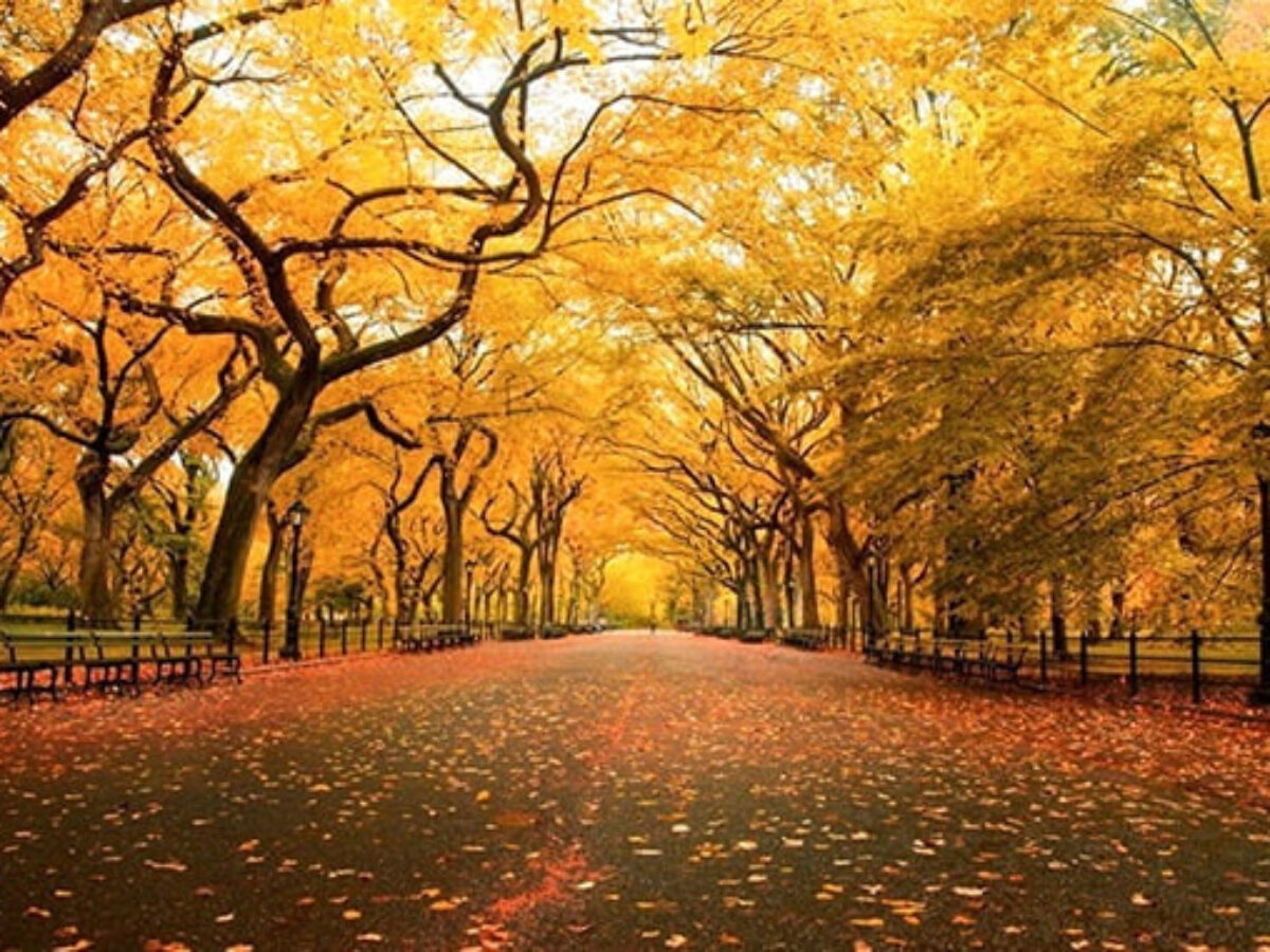 Cảm nhận về đoạn thơ "Sáng mát trong như sáng năm xưa" Gallery 2