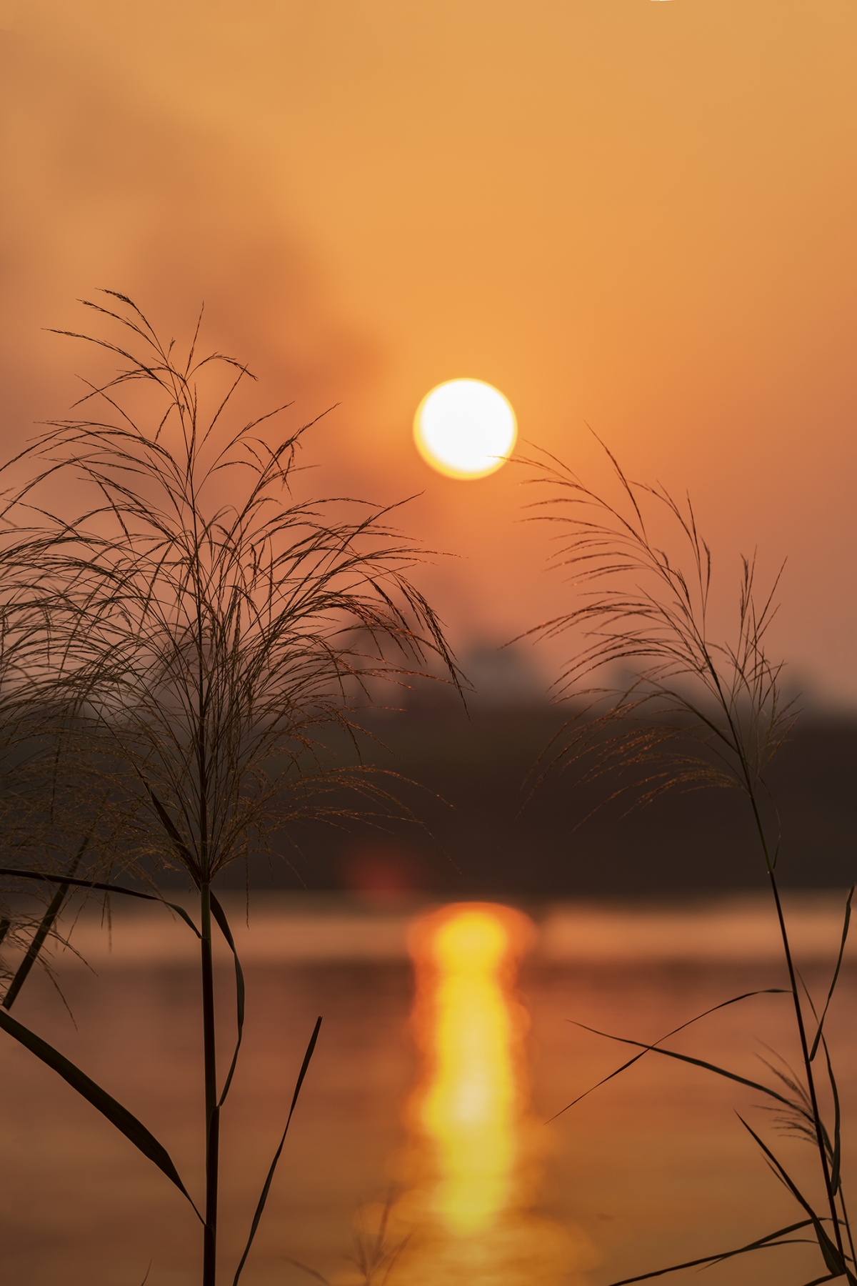 Hoàng Hôn Buổi Chiều
