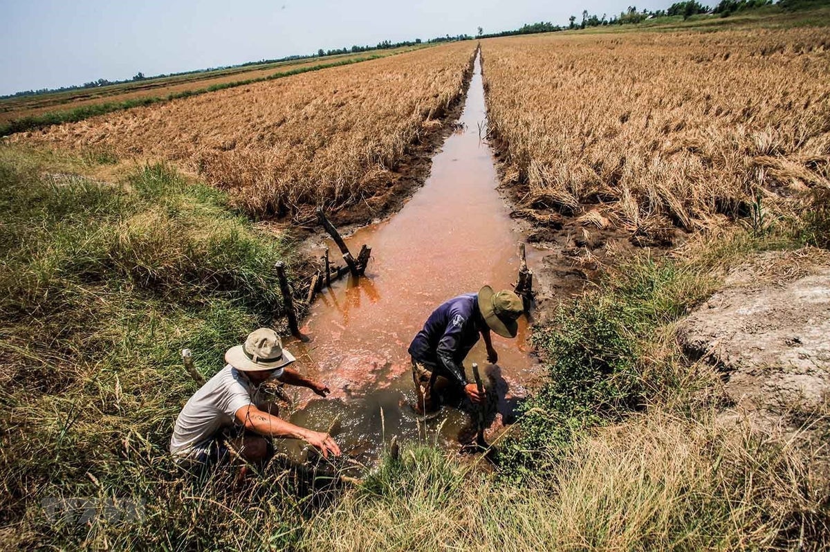 Đồng bằng sông Cửu Long bị xâm nhập mặn nặng trong mùa khô chủ yếu là do Gallery 2