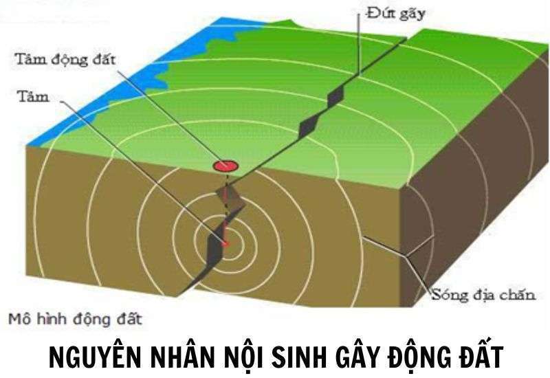 Nguyên nhân sinh ra động đất Gallery 1