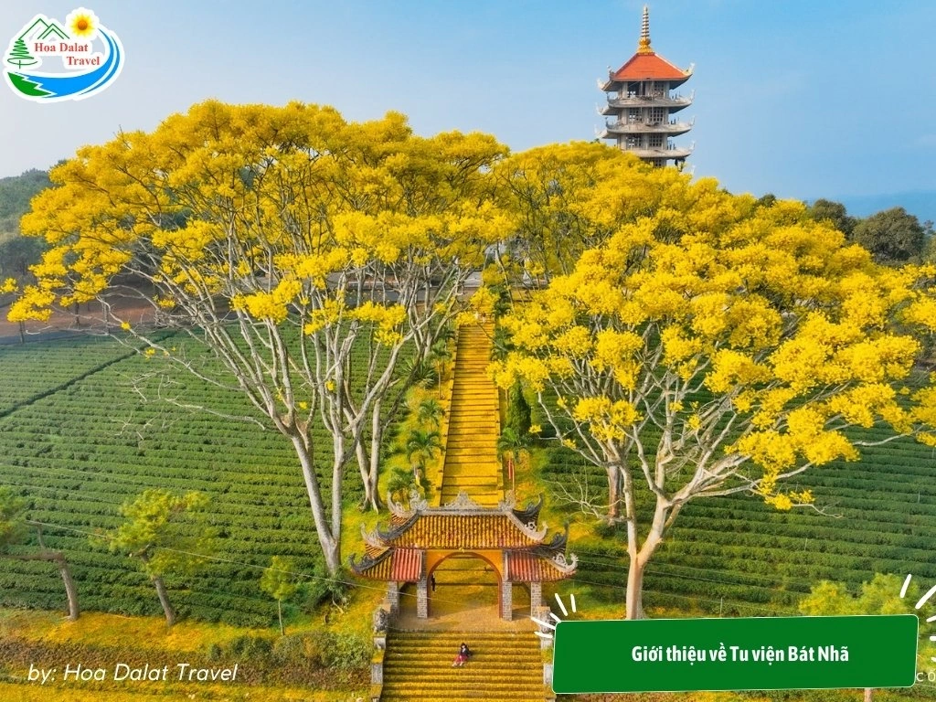 Sự Thật Về Tu Viện Bát Nhã Bảo Lộc Gallery 2