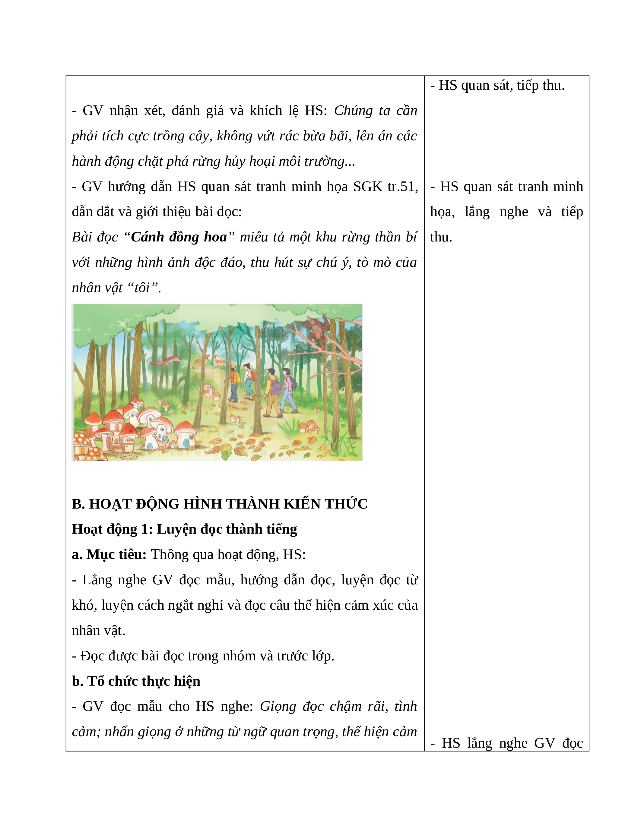 Kì Diệu Rừng Xanh Lớp 5 Gallery 2