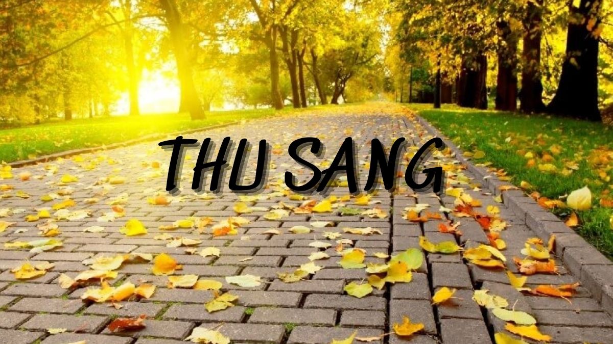 Thu Sang Đỗ Trọng Khơi Gallery 2