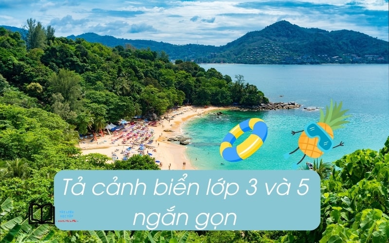 Văn Tả Biển Lớp 5 Gallery 2