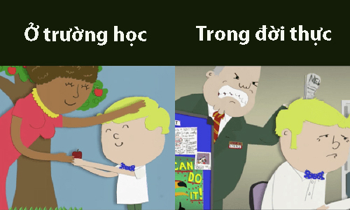 Học giỏi có thành công không? Gallery 1