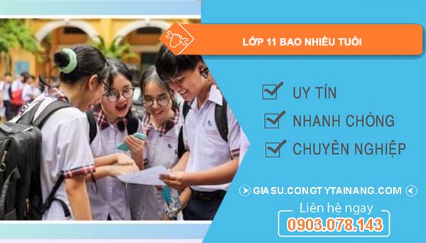 Học lớp 11 sinh năm bao nhiêu?