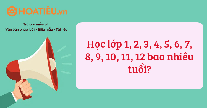 Học Lớp 4 Sinh Năm Bao Nhiêu? Gallery 2