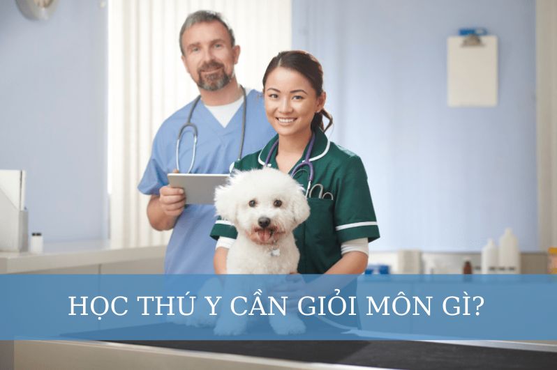 Học thú y cần giỏi môn gì?