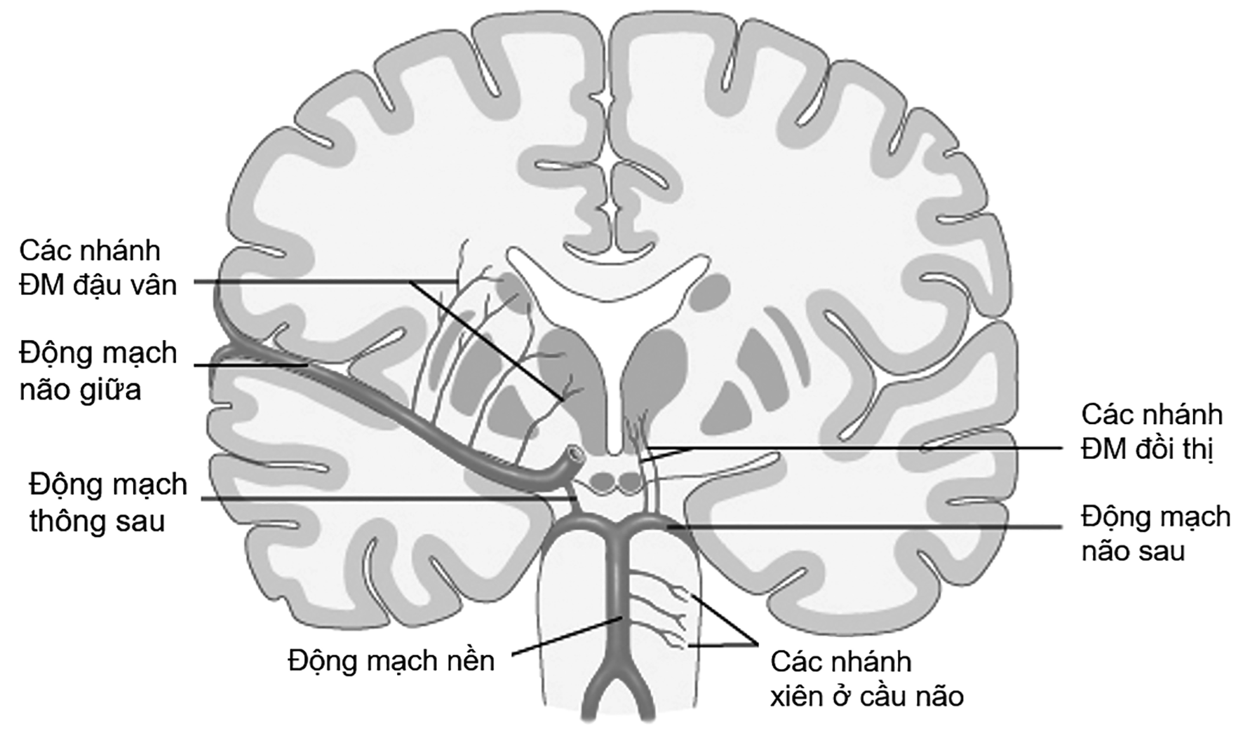 Hội chứng lỗ khuyết
