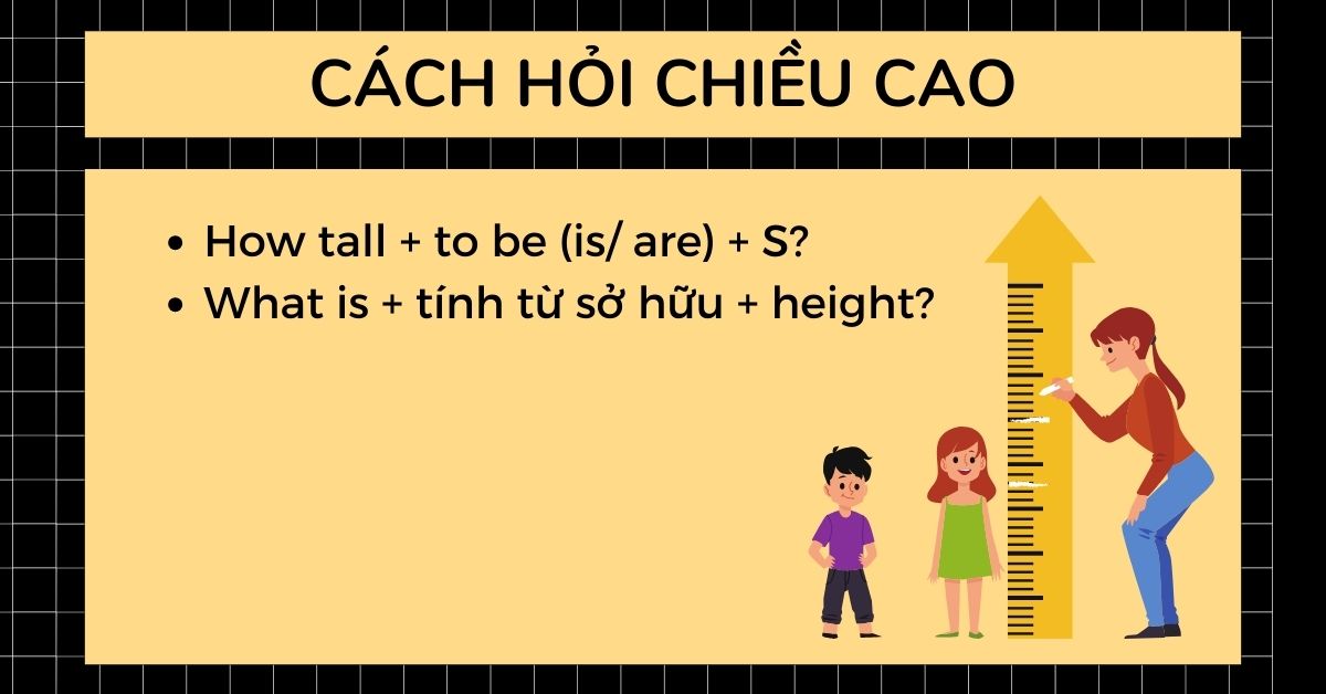 How Tall Are You? Answering Questions About Height