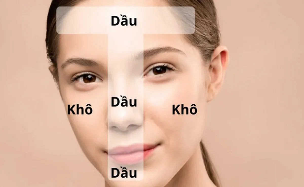 Hỗn hợp là gì?