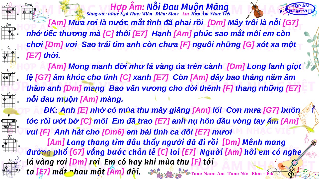 Hợp Âm Bài Nỗi Đau Muộn Màng