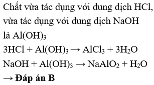 Hợp chất nào sau đây vừa tác dụng được với dung dịch HCl vừa tác dụng được với dung dịch NaOH?