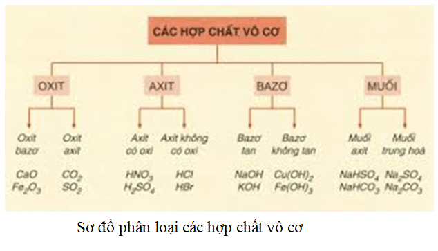 Hợp chất vô cơ có mấy loại?
